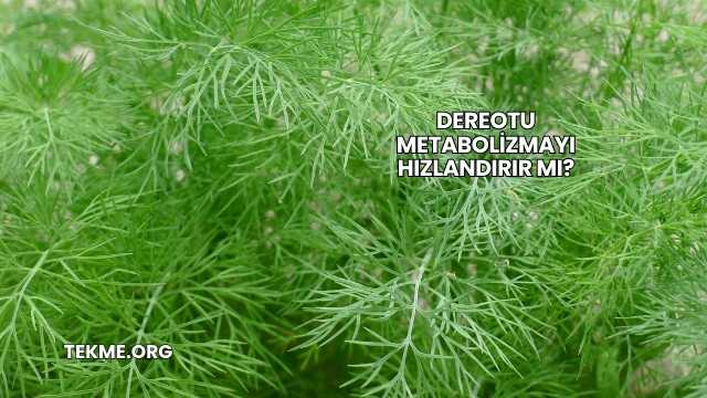 Dereotu Metabolizmayı Hızlandırır mı?