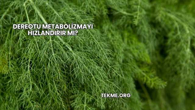 Dereotu Metabolizmayı Hızlandırır mı?