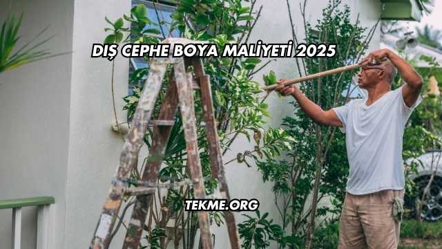 Dış Cephe Boya Maliyeti 2025