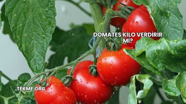 Domates Kilo Verdirir mi?