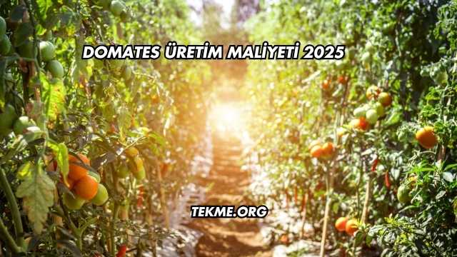 Domates Üretim Maliyeti 2025