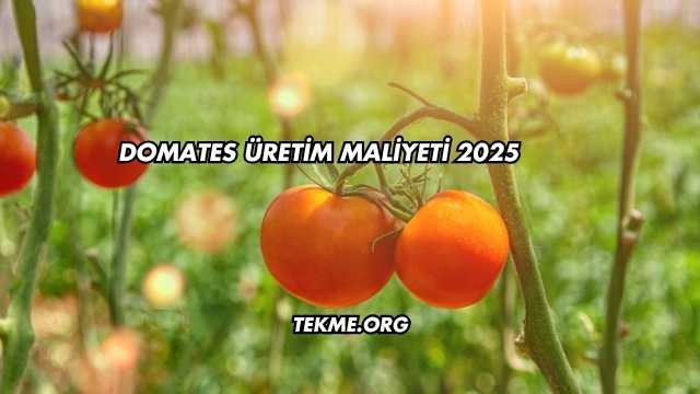 Domates Üretim Maliyeti 2025