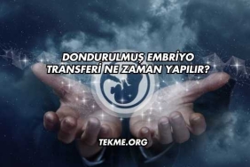 Dondurulmuş Embriyo Transferi Ne Zaman Yapılır?