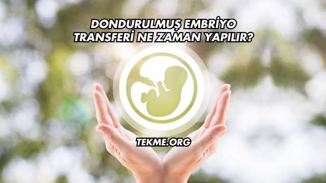 Dondurulmuş Embriyo Transferi Ne Zaman Yapılır?