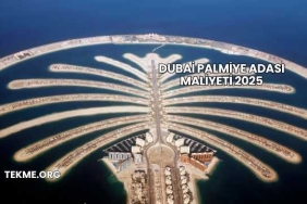 Dubai Palmiye Adası Maliyeti 2025