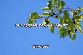 Dut Aşısı Ne Zaman Yapılır?