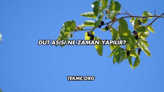 Dut Aşısı Ne Zaman Yapılır?
