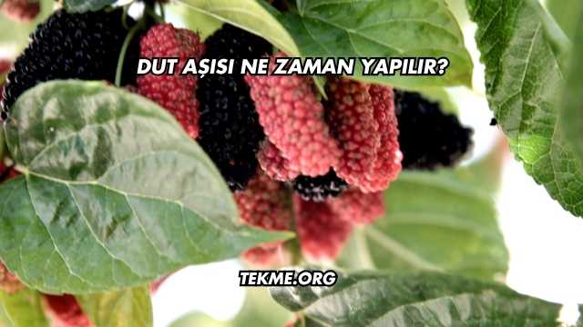 Dut Aşısı Ne Zaman Yapılır?