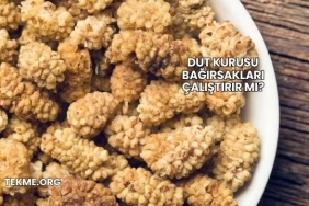 Dut Kurusu Bağırsakları Çalıştırır mı?