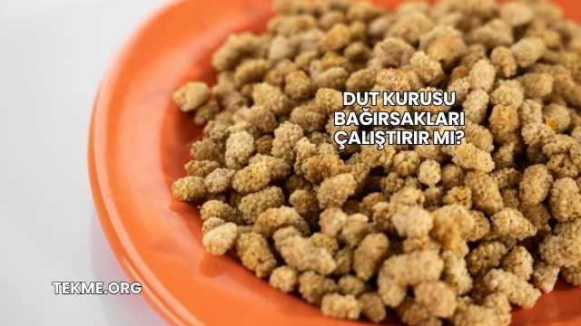 Dut Kurusu Bağırsakları Çalıştırır mı?