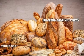 Ekmeğin Maliyeti 2025