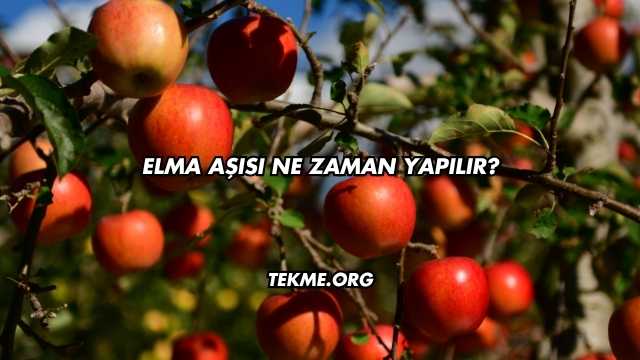Elma Aşısı Ne Zaman Yapılır?