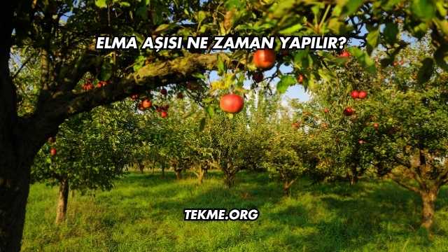 Elma Aşısı Ne Zaman Yapılır?