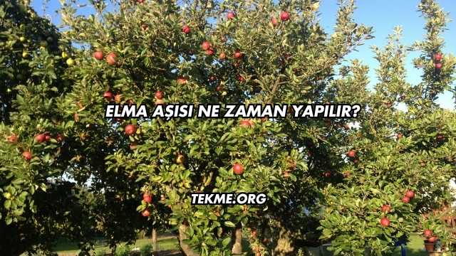 Elma Aşısı Ne Zaman Yapılır?