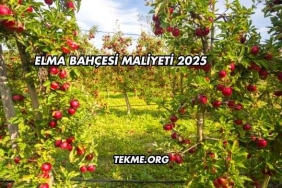 Elma Bahçesi Maliyeti 2025
