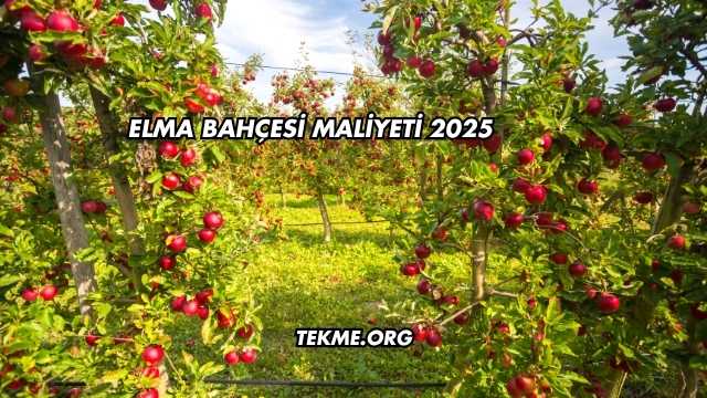 Elma Bahçesi Maliyeti 2025