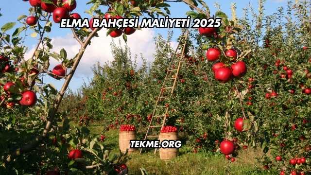 Elma Bahçesi Maliyeti 2025