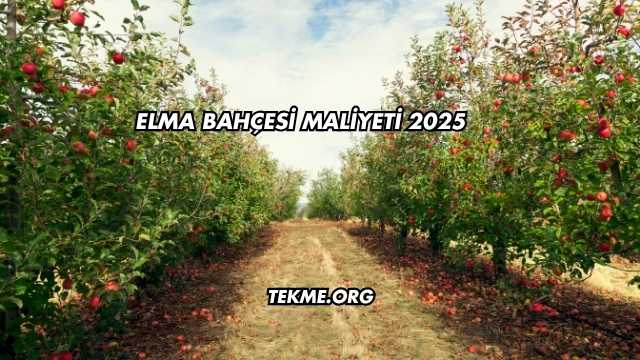 Elma Bahçesi Maliyeti 2025