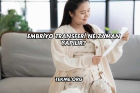 Embriyo Transferi Ne Zaman Yapılır?
