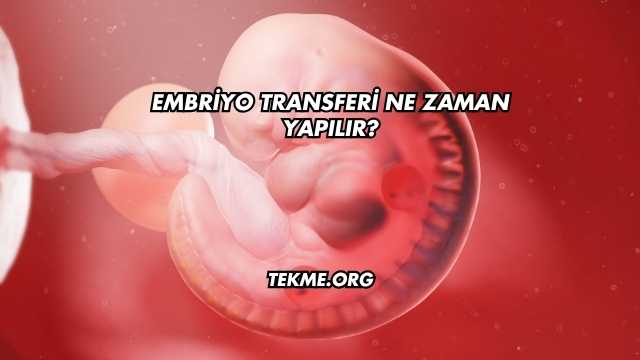Embriyo Transferi Ne Zaman Yapılır?