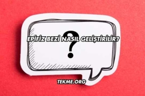 Epifiz Bezi Nasıl Geliştirilir?