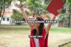 Erasmus Ne Zaman Yapılır?
