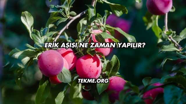 Erik Aşısı Ne Zaman Yapılır?