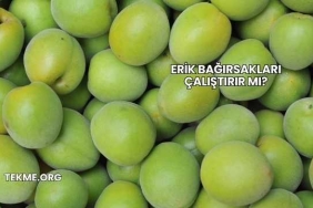 Erik Bağırsakları Çalıştırır mı?