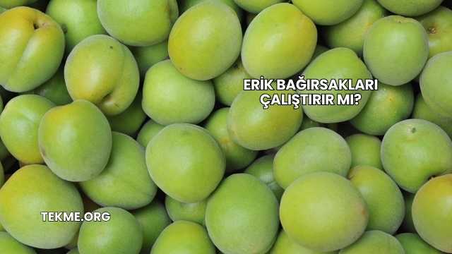 Erik Bağırsakları Çalıştırır mı?