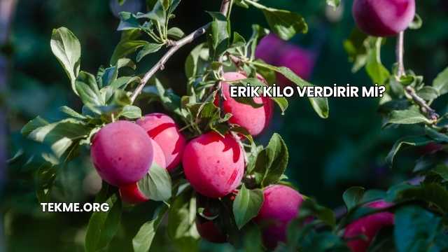 Erik Kilo Verdirir mi?