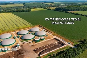Ev Tipi Biyogaz Tesisi Maliyeti 2025
