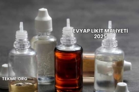 Evyap Likit Maliyeti 2025
