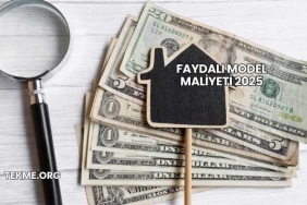 Faydalı Model Maliyeti 2025