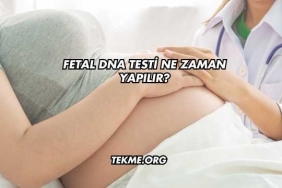 Fetal DNA Testi Ne Zaman Yapılır?