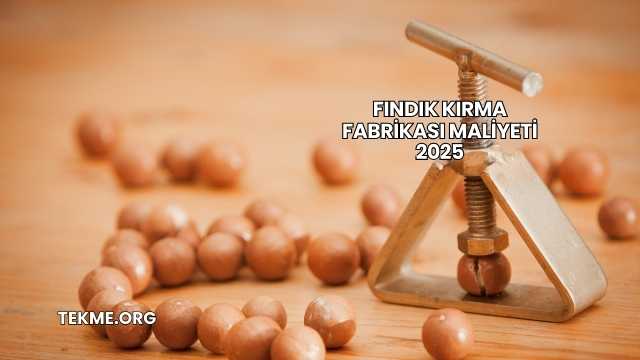Fındık Kırma Fabrikası Maliyeti 2025