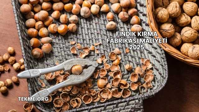 Fındık Kırma Fabrikası Maliyeti 2025