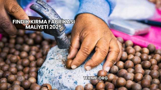 Fındık Kırma Fabrikası Maliyeti 2025