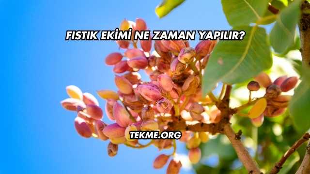 Fıstık Ekimi Ne Zaman Yapılır?