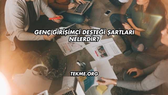 Genç Girişimci Desteği Şartları Nelerdir?