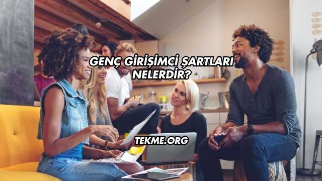 Genç Girişimci Şartları Nelerdir?