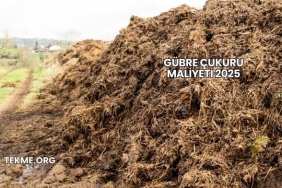 Gübre Çukuru Maliyeti 2025
