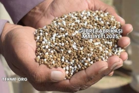 Gübre Fabrikası Maliyeti 2025