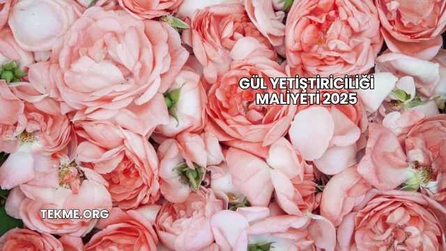 Gül Yetiştiriciliği Maliyeti 2025