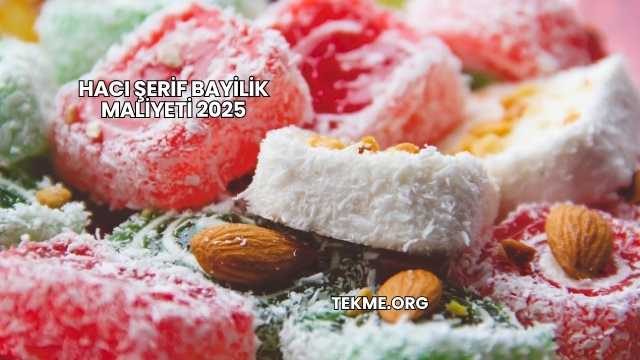 Hacı Şerif Bayilik Maliyeti 2025
