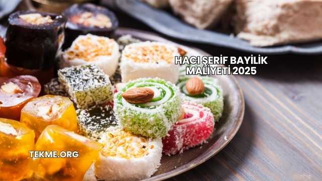 Hacı Şerif Bayilik Maliyeti 2025