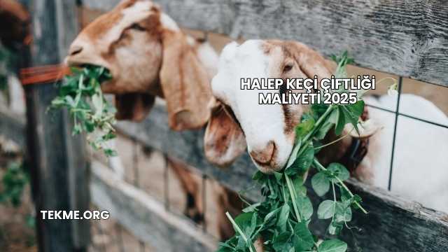 Halep Keçi Çiftliği Maliyeti 2025