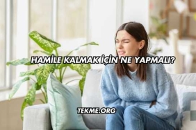 Hamile Kalmak İçin Ne Yapmalı?