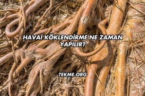 Havai Köklendirme Ne Zaman Yapılır?