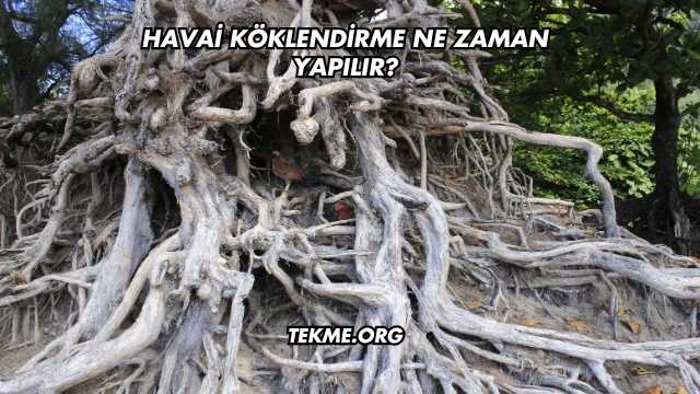 Havai Köklendirme Ne Zaman Yapılır?