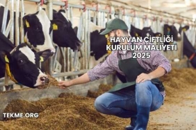 Hayvan Çiftliği Kurulum Maliyeti 2025